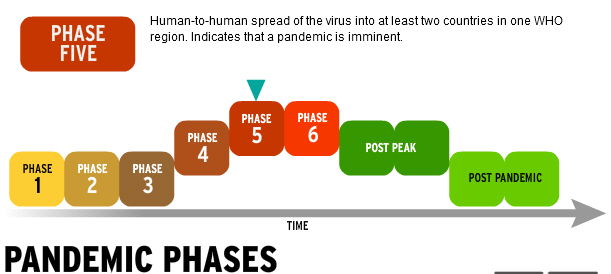 Pandemic Phases