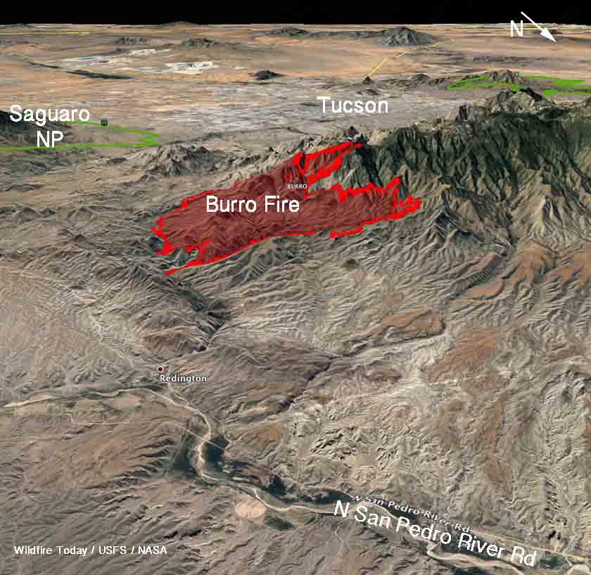 Burro fire near Tucson closes road to Mt. Lemmon