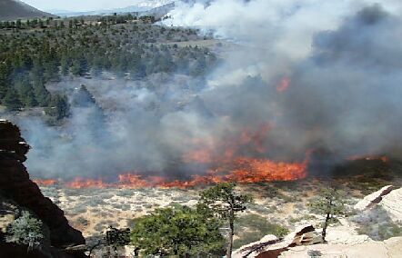 zion fire park national 2009 np closes part july wildfiretoday