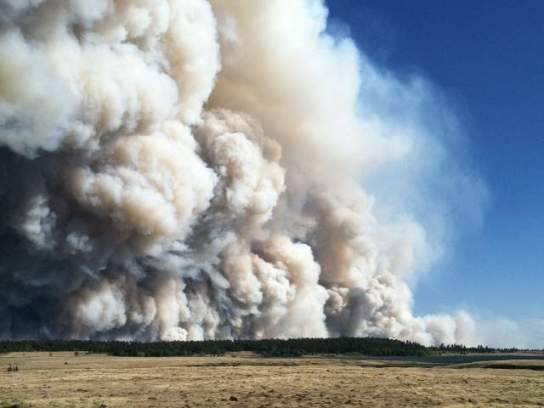 Uncategorized Archives - Page 636 of 1614 - Wildfire Today