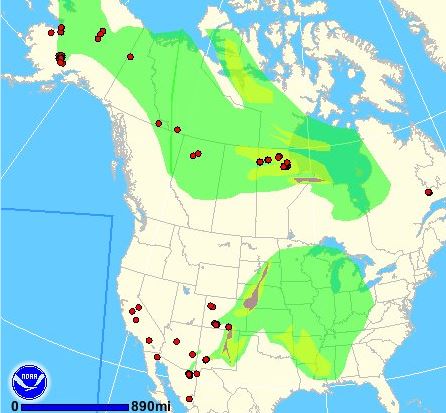 Wildfire smoke map, June 21, 2013 - Wildfire Today