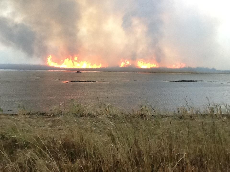 Prescribed fire, Indiana Dunes National Lakeshore near Ogden Dunes in northwest Indiana
