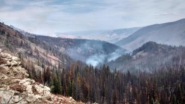 Cut Off Ridge Fire Deviation from policy may have saved firefighter’s life – Wildfire Today