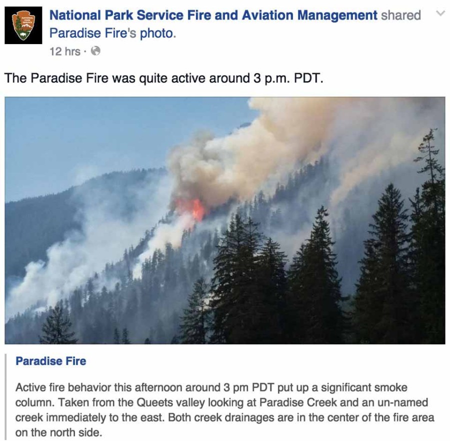 Paradise Fire Archives Wildfire Today 8339