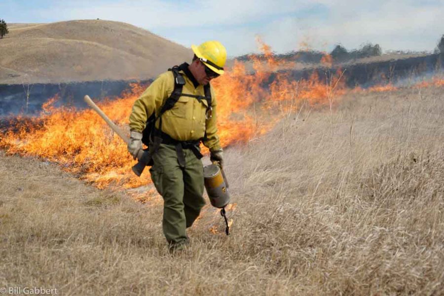 Prescribed fire liability standards of care - Wildfire Today