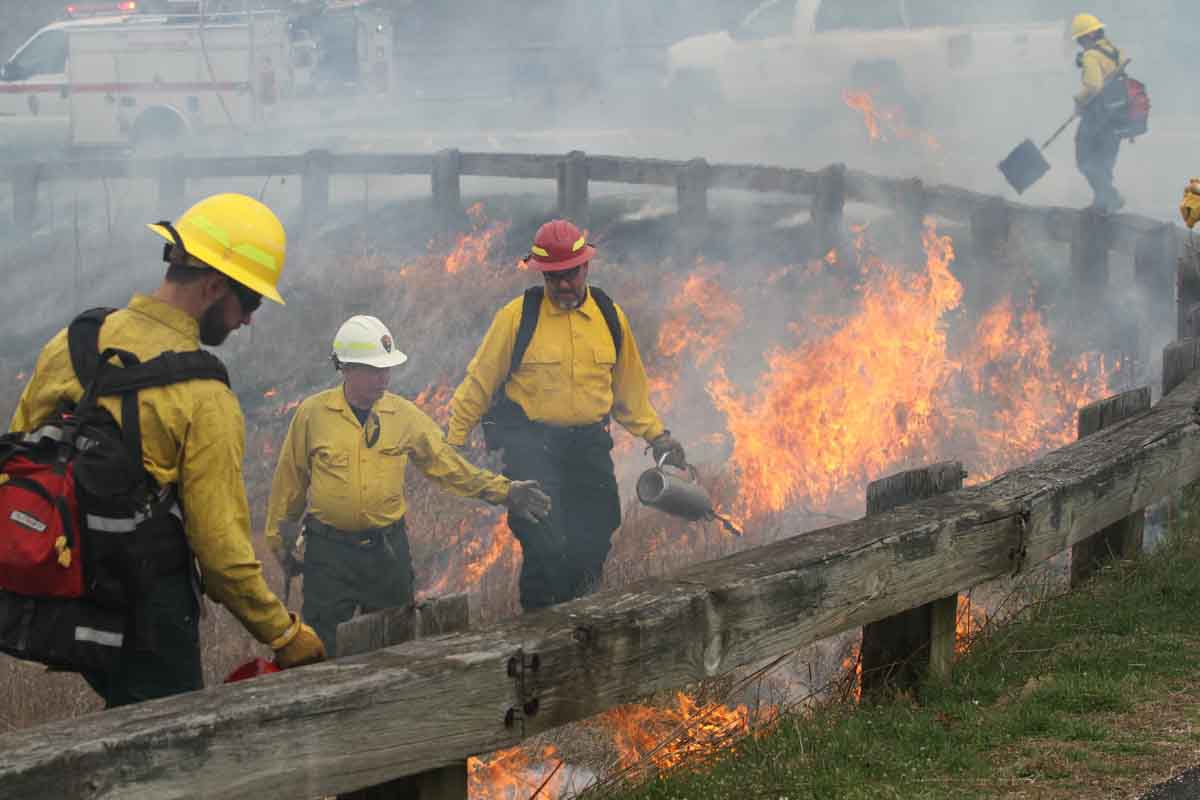 Wolf Trap National prescribed fire