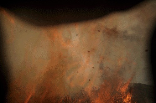 rocket launch brush fire melts NASA camera