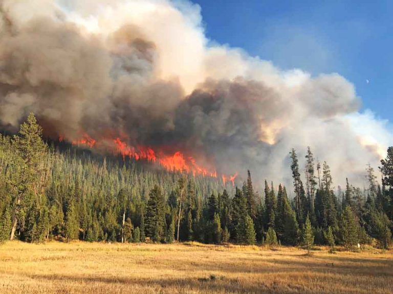 Two fires south of Jackson, Wyoming spreading rapidly at high elevation