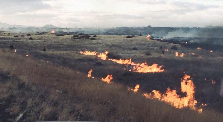 Wildfire burns 300 acres near Prescott, Arizona - Wildfire ...