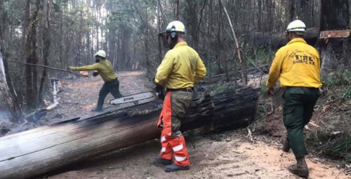bushfires firefighters fires Victoria Australia