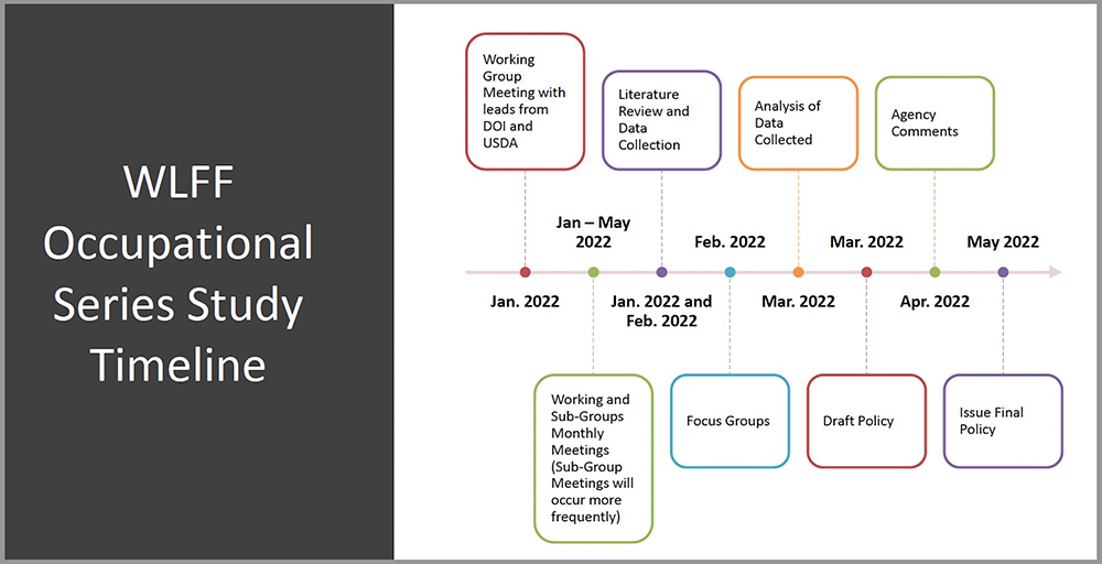 OPM's timeline for development of a Wildland Firefighter job series