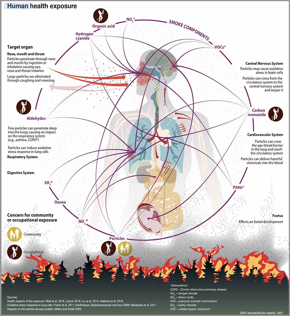 Human Health Exposure wildfire smoke health effects