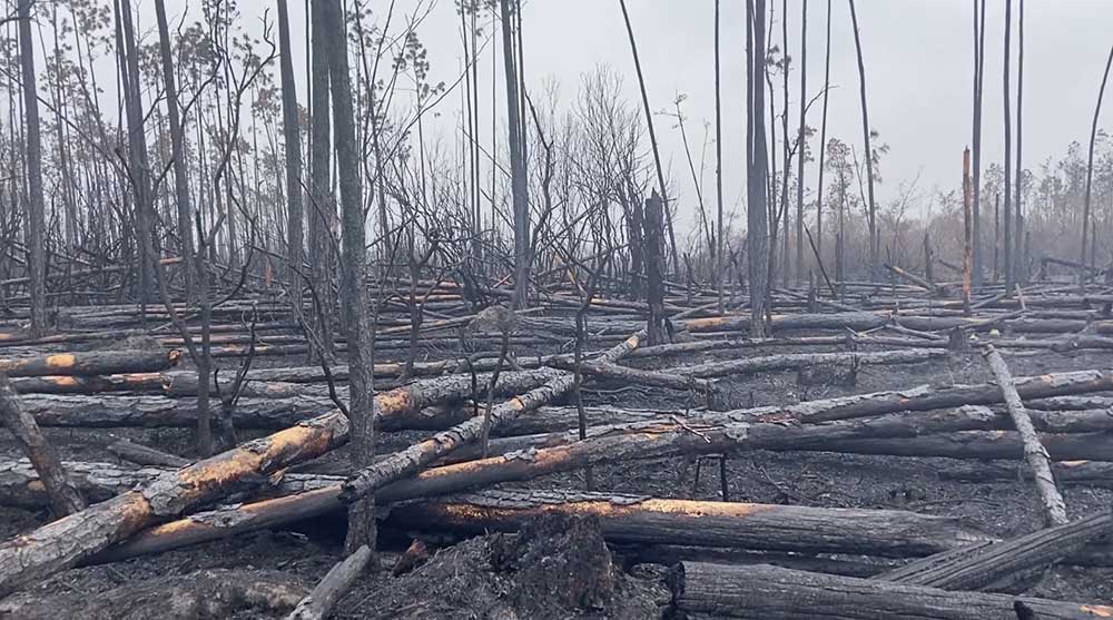 Bertha Swamp Road Fire, March 11, 2022