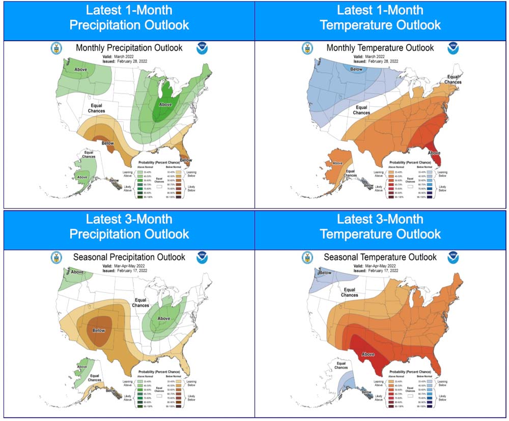 Temperature & precipitation outlook, 1 and 3 month
