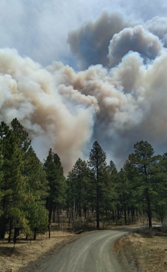 Fall Creek Area of San Miguel County, NM, Hermits Peak - Calf Canyon Fire