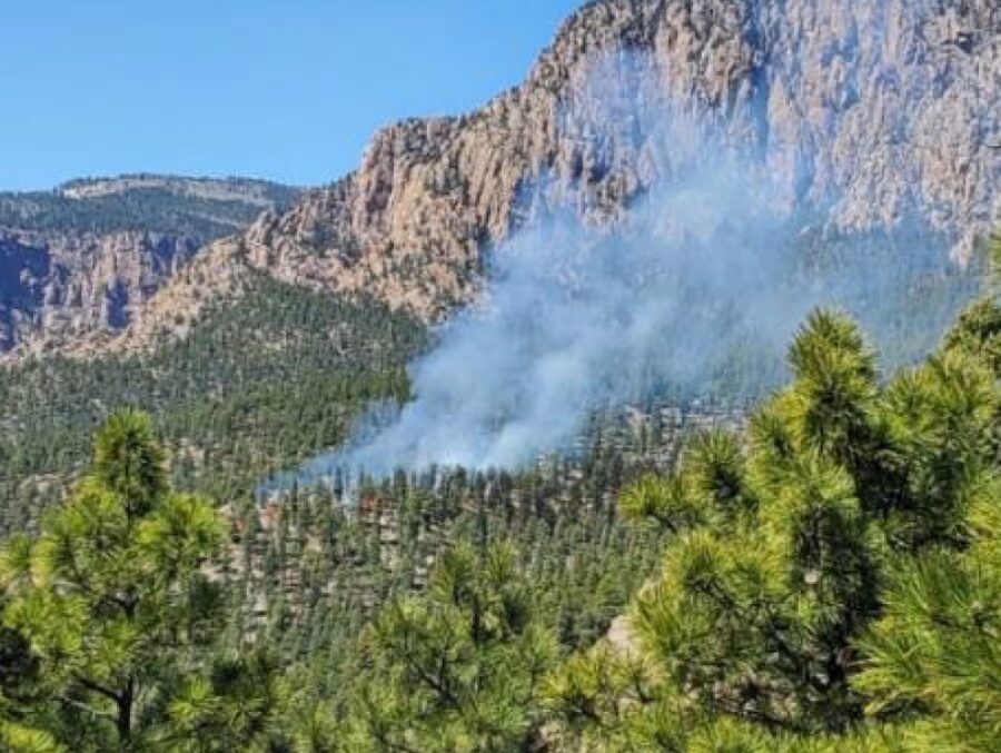 Test fire on the Las Dispensas prescribed fire April 6, 2022
