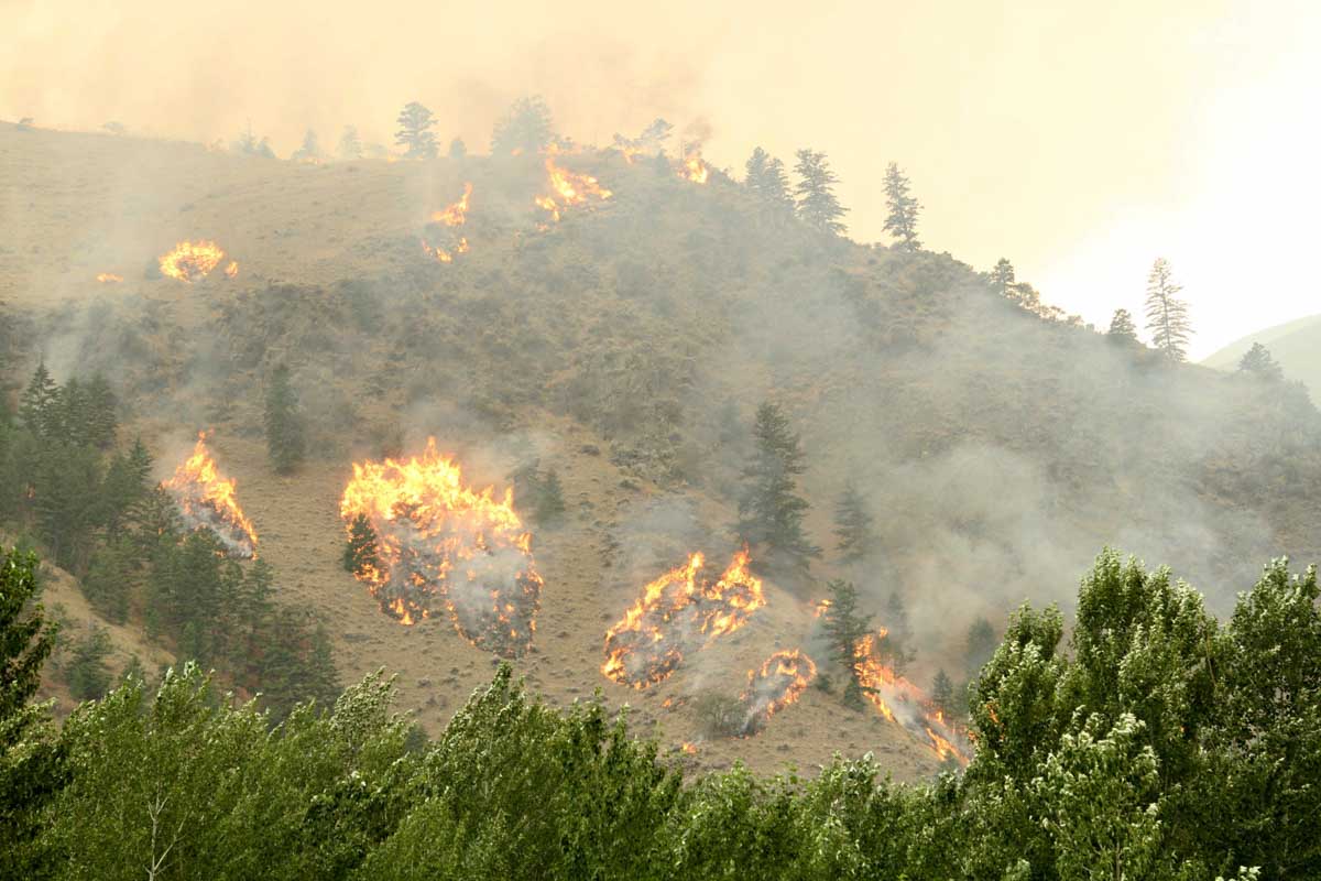Moose Fire August 2 2022 In Montana Wildfire Today 2566
