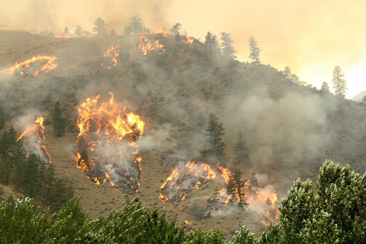 Moose Fire August 2, 2022 in Montana