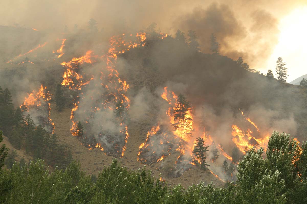Moose Fire August 2, 2022 in Montana