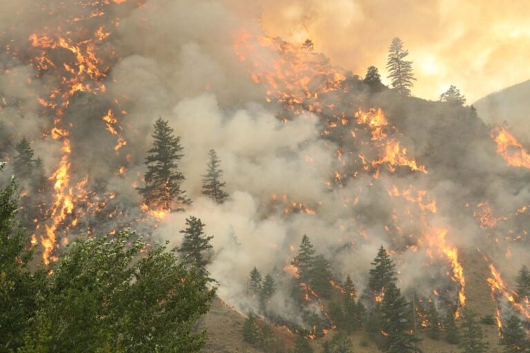 Moose Fire August 2 2022 In Montana Wildfire Today 0968