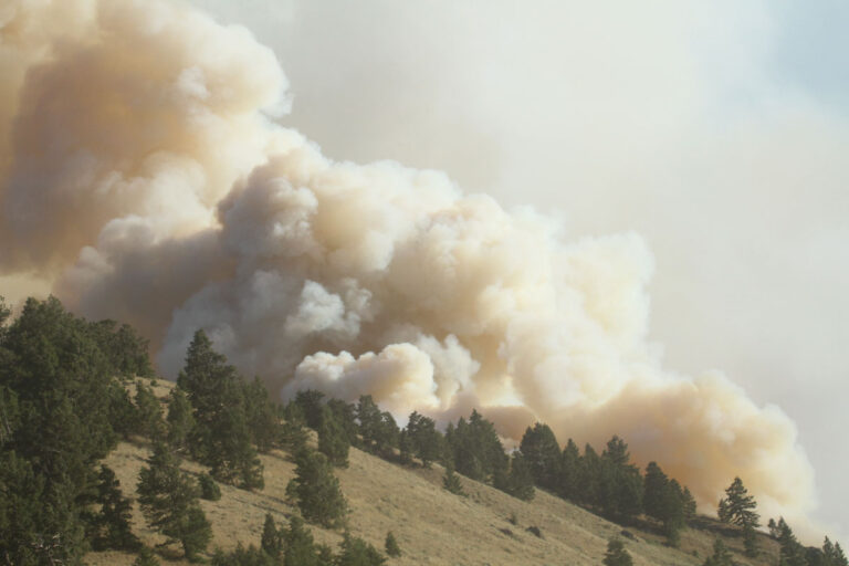 Moose Fire August 2 2022 In Montana Wildfire Today 9423