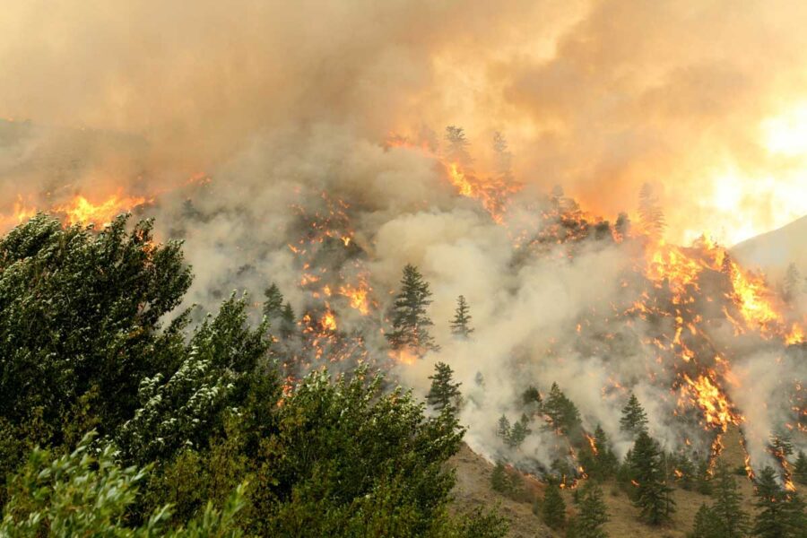 Moose Fire August 2 2022 In Montana Wildfire Today 6219