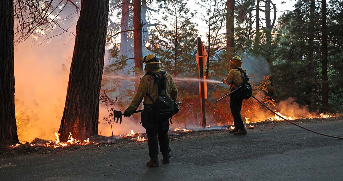 Firefighters suppressing the Mosquito Fire