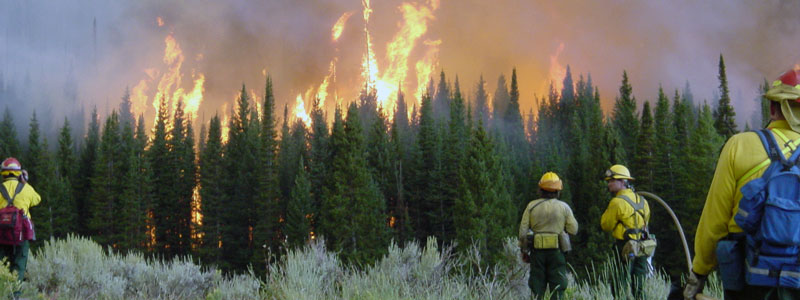 Fire photo by Colorado State Forest Service