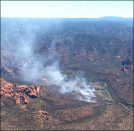 2018 Sycamore Fire in Arizona, looking north. USFS photo. 
