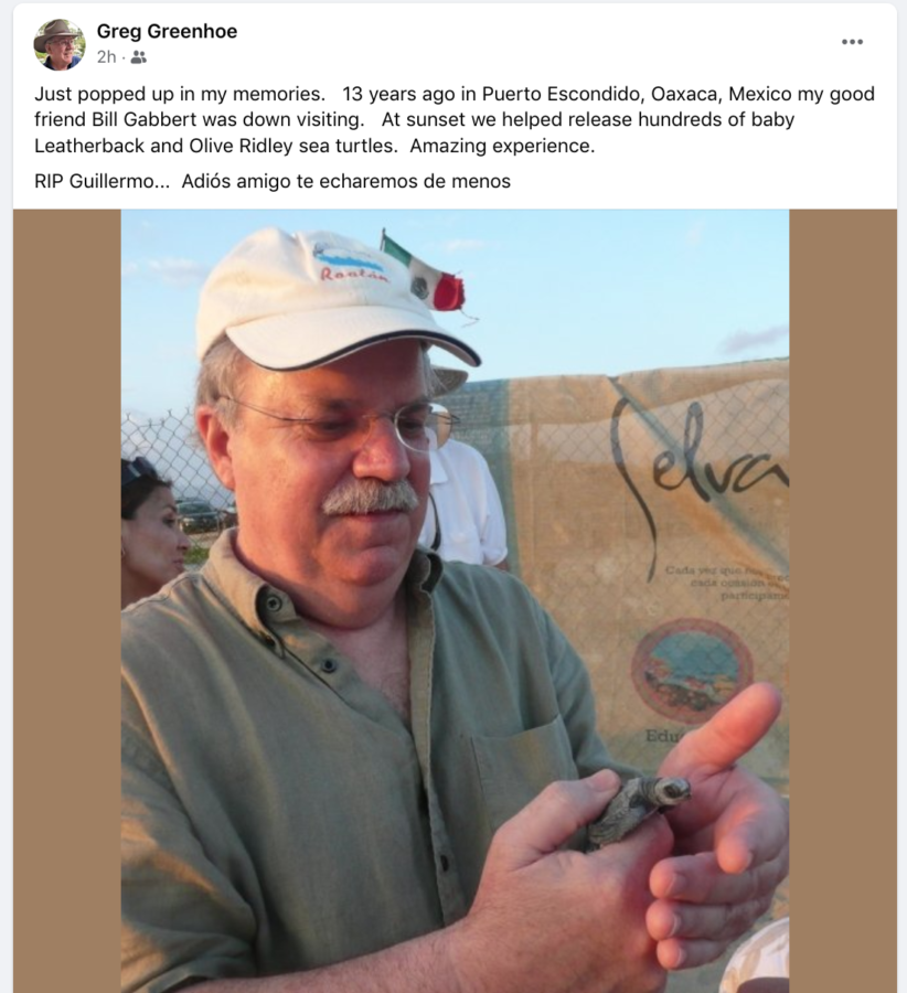 Bill Gabbert visiting Oaxaca and helping out with hatchling sea turtles
