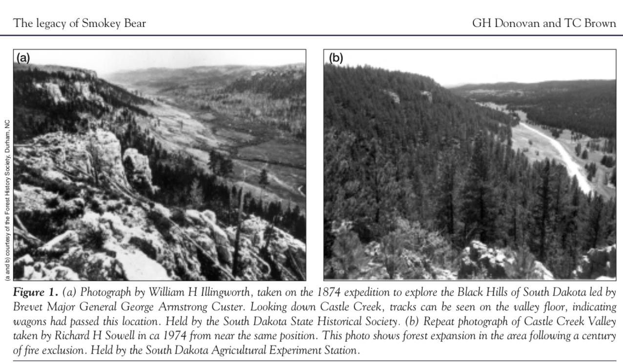 Black Hills, 1874 and 1974. 100 years of fire exclusion.